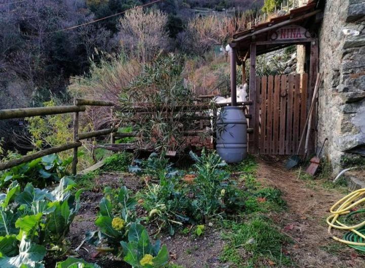 아비솔라 수페리오레 La Casa Di Mo 빌라 외부 사진